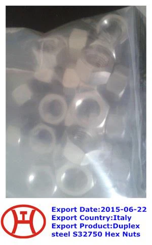 AISI  321  HEX BOLT ISO 4017